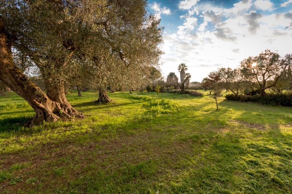 La Fragna Bed & Breakfast Nardo Bagian luar foto