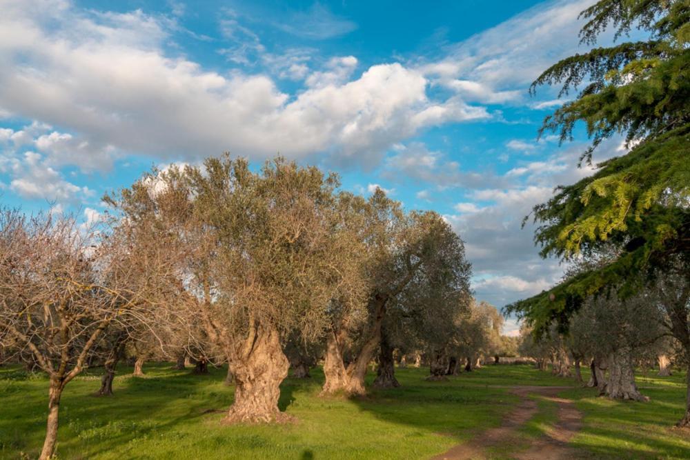 La Fragna Bed & Breakfast Nardo Bagian luar foto